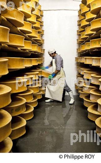 FROMAGE DE BEAUFOIRT, COOPERATIVE LAITIERE DE BEAUFORT, BEAUFORTIN, SAVOIE, FRANCE (73F02017.jpg)