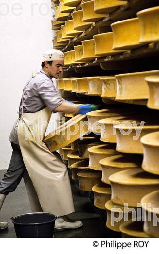 FROMAGE DE BEAUFOIRT, COOPERATIVE LAITIERE DE BEAUFORT, BEAUFORTIN, SAVOIE, FRANCE (73F02018.jpg)