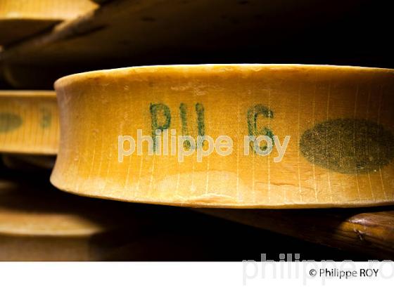 FROMAGE DE BEAUFOIRT, COOPERATIVE LAITIERE DE BEAUFORT, BEAUFORTIN, SAVOIE, FRANCE (73F02022.jpg)