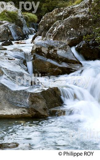 TORRENT DE LA GITTAZ, BEAUFORTAIN, SAVOIE, FRANCE (73F02305.jpg)