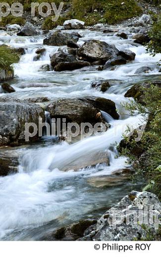 TORRENT DE LA GITTAZ, BEAUFORTAIN, SAVOIE, FRANCE (73F02306.jpg)