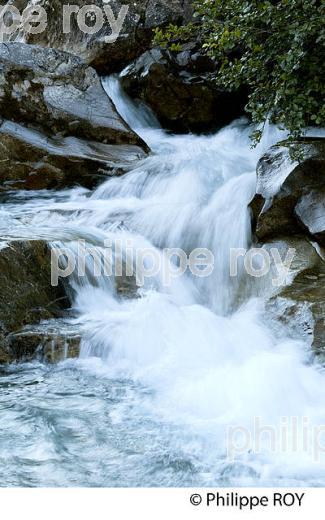 TORRENT DE LA GITTAZ, BEAUFORTAIN, SAVOIE, FRANCE (73F02307.jpg)