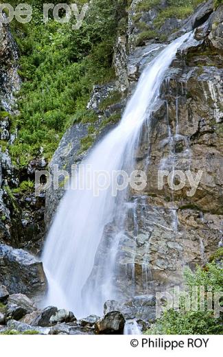 TORRENT DE LA GITTAZ, BEAUFORTAIN, SAVOIE, FRANCE (73F02308.jpg)