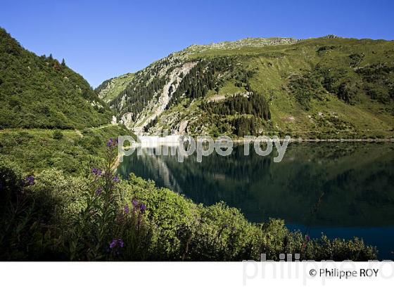 LAC DE BARRAGE DE LA GITTAZ, BEAUFORTAIN, SAVOIE, FRANCE (73F02312.jpg)
