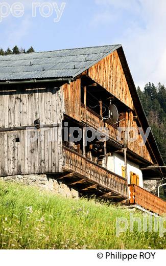 FERME D'ALPAGE, BEAUFORTAIN, SAVOIE, FRANCE (73F02419.jpg)