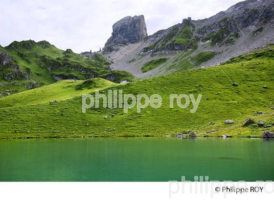 LAC D'AMOUR ET PIERRA MENTA,BEAUFORTIN,  SAVOIE, FRANCE (73F02527.jpg)