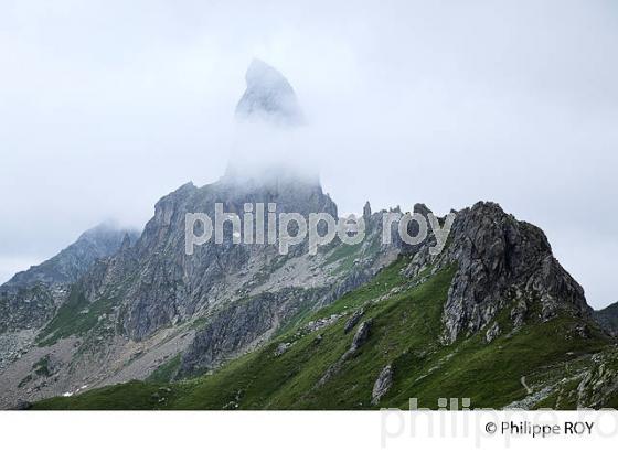 AIGUILLE DE LA NOVA, MASSIF DU BEAUFORTAIN, SAVOIE, FRANCE (73F02528.jpg)