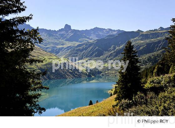 LAC DE ROSELEND ET PIERRA MENTA, BEAUFORTIN,  SAVOIE, FRANCE (73F02530.jpg)