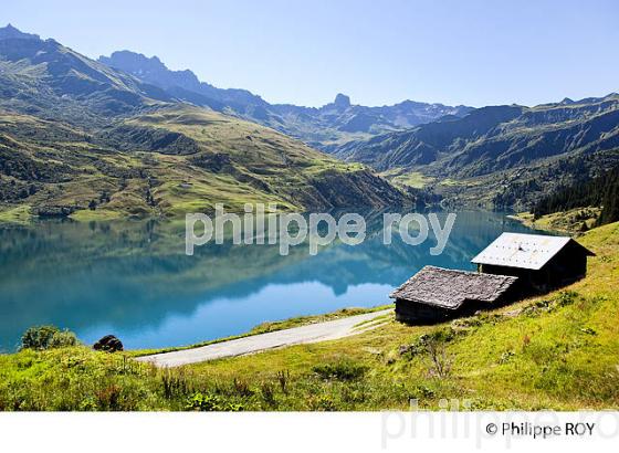 LAC DE ROSELEND ET PIERRA MENTA, BEAUFORTIN,  SAVOIE, FRANCE (73F02534.jpg)