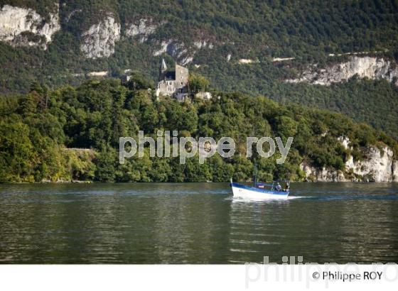CHATEAU DE CHATILLON ET LAC DU BOURGET, SAVOIE, FRANCE (73F02640.jpg)