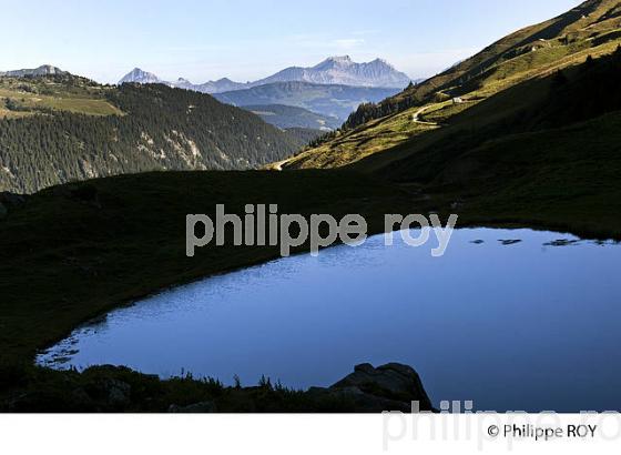 LAC DES FEES, MASSIF DU BEAUFORTAIN, SAVOIE, FRANCE (73F02714.jpg)