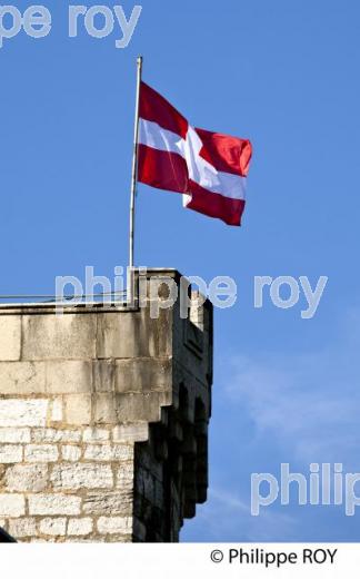 DRAPEAU SAVOYARD, CHATEAU DES DUCS DE SAVOIE, CHAMBERY, FRANCE (73F02740.jpg)