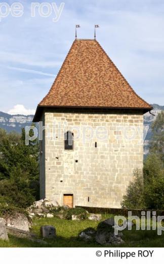 CHATEAU DES COMTES DE SAVOIE, LE BOURGET DU LAC, FRANCE (73F03629.jpg)