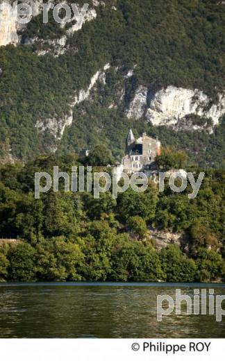 CHATEAU DE CHATILLON ET LAC DU BOURGET, SAVOIE, FRANCE (73F03703.jpg)