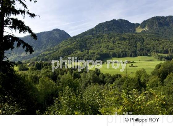 Bernex - Haute Savoie (74F00819.jpg)