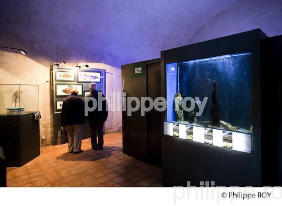 MUSEE, CHATEAU D'ANNECY, HAUTE-SAVOIE, FRANCE (74F01003.jpg)