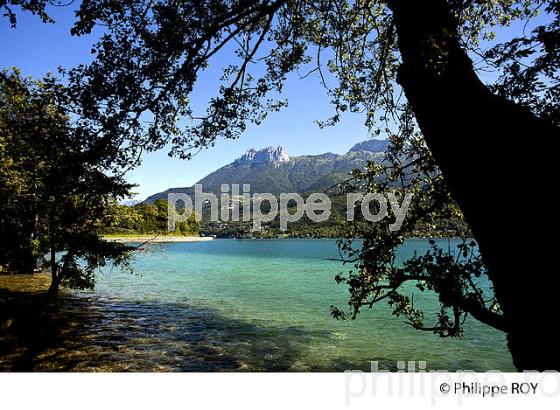 RIVES DU PETIT LAC D'ANNECY, HAUTE-SAVOIE, FRANCE (74F01630.jpg)