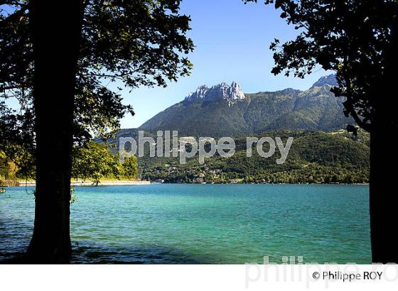 RIVES DU PETIT LAC D'ANNECY, HAUTE-SAVOIE, FRANCE (74F01631.jpg)