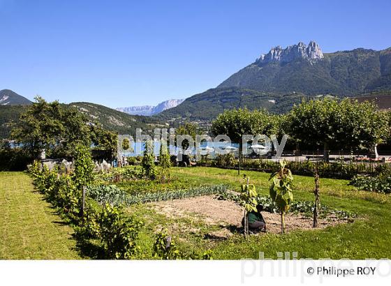 JARDIN, RIVES DU LAC D'ANNECY, HAUTE-SAVOIE, FRANCE (74F01708.jpg)