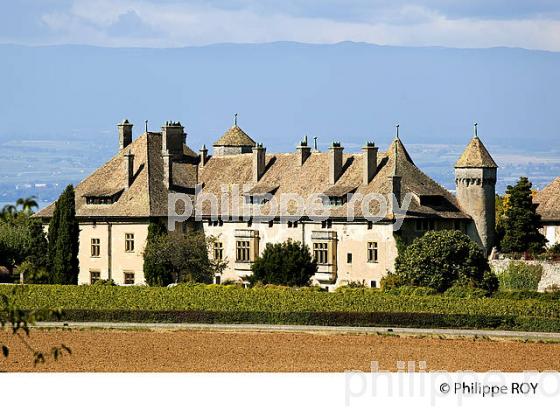 CHATEAU DE RIPAILLE, THONON, HAUTE-SAVOIE, FRANCE (74F01923.jpg)