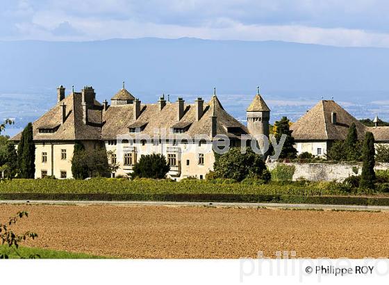 CHATEAU DE RIPAILLE, CHABLAIS, THONON, HAUTE-SAVOIE, FRANCE (74F01924.jpg)