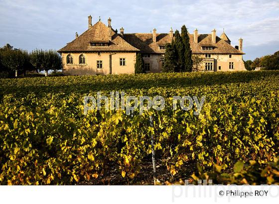 CHATEAU DE RIPAILLE, CHABLAIS, THONON, HAUTE-SAVOIE, FRANCE (74F01925.jpg)