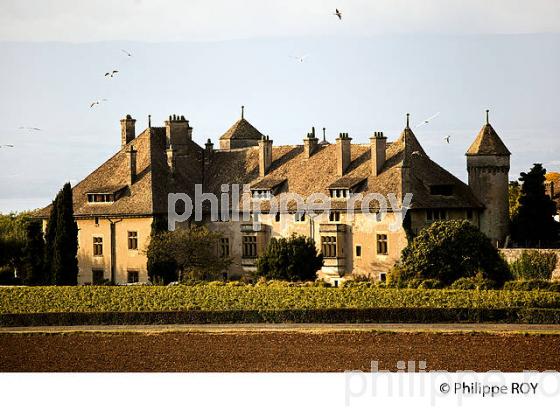 CHATEAU DE RIPAILLE, CHABLAIS, THONON, HAUTE-SAVOIE, FRANCE (74F01926.jpg)