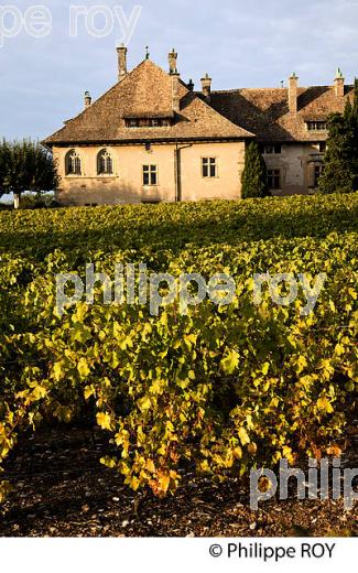 CHATEAU DE RIPAILLE, CHABLAIS, THONON, HAUTE-SAVOIE, FRANCE (74F01927.jpg)