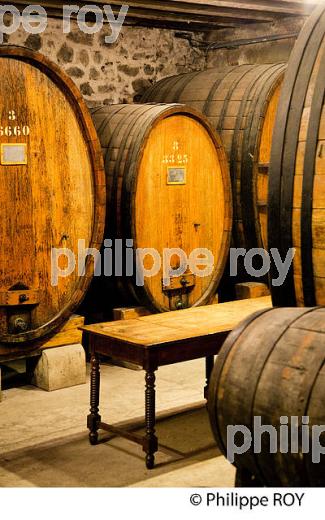 CHATEAU DE RIPAILLE, CHABLAIS, THONON, HAUTE-SAVOIE, FRANCE (74F02014.jpg)