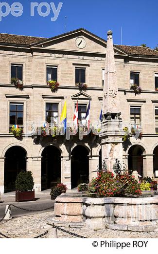 HOTEL DE VILLE, THONON, HAUTE-SAVOIE, FRANCE (74F02030.jpg)