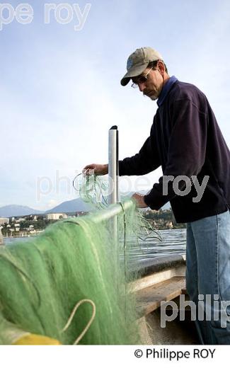 PECHE SUR LE LAC LEMAN, THONON, HAUTE-SAVOIE, FRANCE (74F02207.jpg)