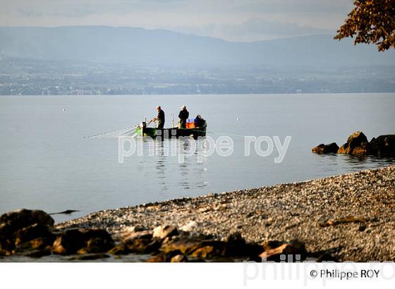 PECHE SUR LE LAC LEMAN, THONON, HAUTE-SAVOIE, FRANCE (74F02210.jpg)