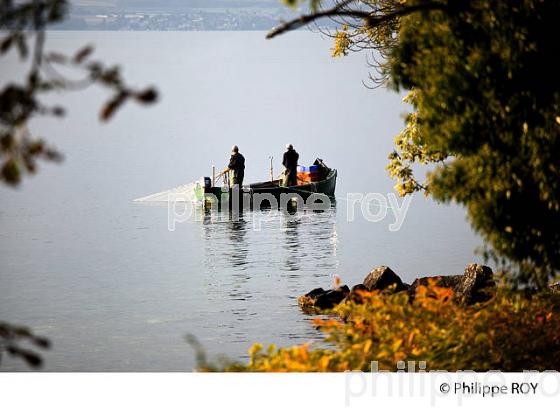 PECHE SUR LE LAC LEMAN, THONON, HAUTE-SAVOIE, FRANCE (74F02211.jpg)