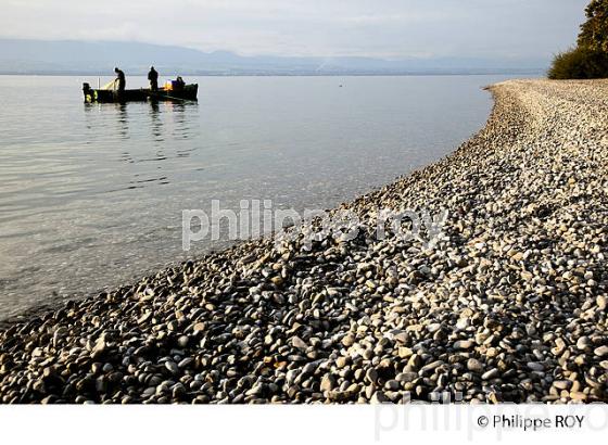 PECHE SUR LE LAC LEMAN, THONON, HAUTE-SAVOIE, FRANCE (74F02213.jpg)