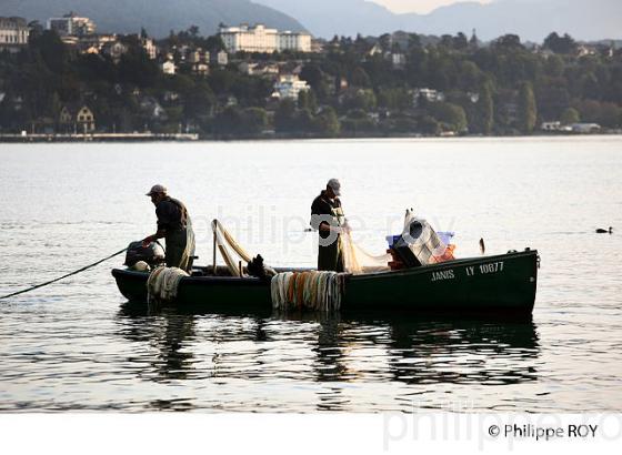 PECHE SUR LE LAC LEMAN, THONON, HAUTE-SAVOIE, FRANCE (74F02216.jpg)