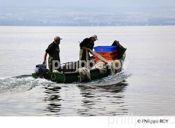PECHE SUR LE LAC LEMAN, THONON, HAUTE-SAVOIE, FRANCE (74F02219.jpg)