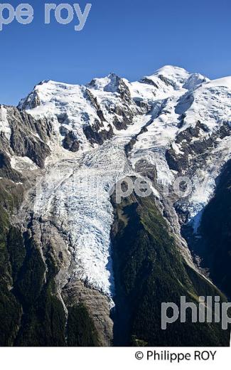 GLACIER, MASSIF DU MONT-BLANC, CHAMONIX, ALPES, FRANCE (74F02626.jpg)