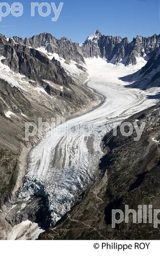 GLACIER, MASSIF DU MONT-BLANC, CHAMONIX, ALPES, FRANCE (74F02633.jpg)