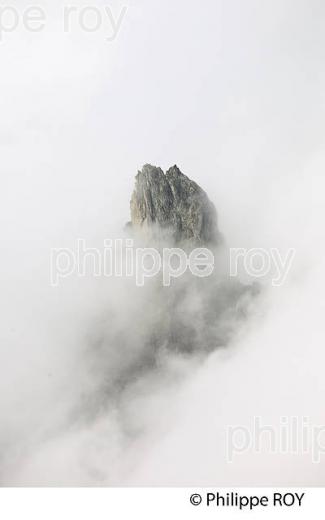 MASSIF DU MONT-BLANC, CHAMONIX, ALPES, FRANCE (74F02835.jpg)