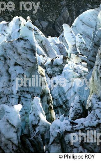 GLACIER D'ARGENTIERE, MONT-BLANC, HAUTE-SAVOIE, FRANCE (74F02916.jpg)