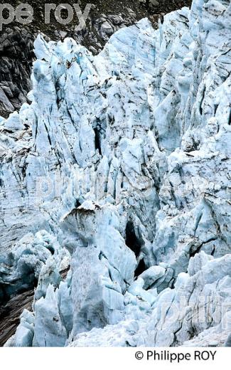GLACIER D'ARGENTIERE, MONT-BLANC, HAUTE-SAVOIE, FRANCE (74F02917.jpg)