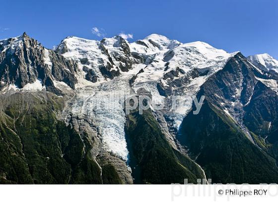 MASSIF DU MONT-BLANC, CHAMONIX, HAUTE-SAVOIE, FRANCE (74F02929.jpg)