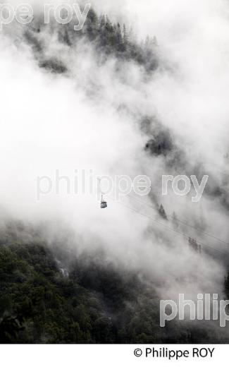 FORET DANS LA BRUME, VALLEE DE CHAMONIX, HAUTE-SAVOIE, FRANCE (74F03018.jpg)