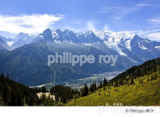 MASSIF DU MONT-BLANC ET CHAMONIX, HAUTE-SAVOIE, FRANCE (74F03404.jpg)