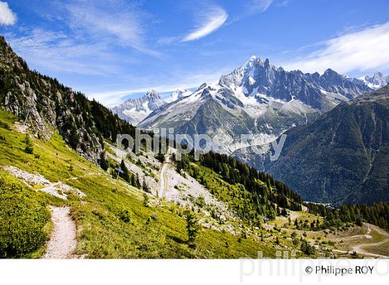 AIGUILLE VERTE ET LES DRUS, MONT-BLANC, HAUTE-SAVOIE, FRANCE (74F03412.jpg)