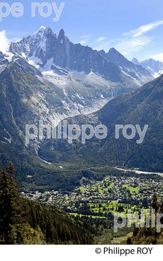 AIGUILLE VERTE ET LES DRUS, MONT-BLANC, HAUTE-SAVOIE, FRANCE (74F03416.jpg)