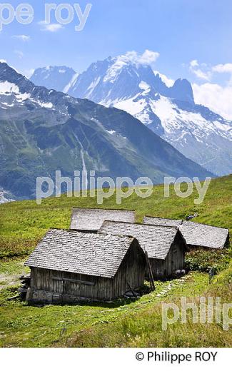 CHALETS D'ALPAGE DE BALME, MONT-BLANC, HAUTE-SAVOIE, FRANCE (74F03537.jpg)