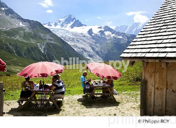 CHALETS D'ALPAGE DE BALME, MONT-BLANC, HAUTE-SAVOIE, FRANCE (74F03602.jpg)