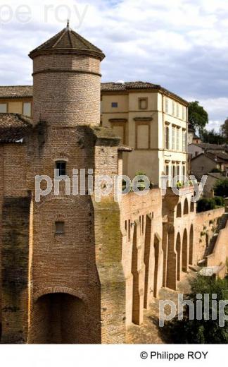 Gaillac - Tarn (81F00231.jpg)