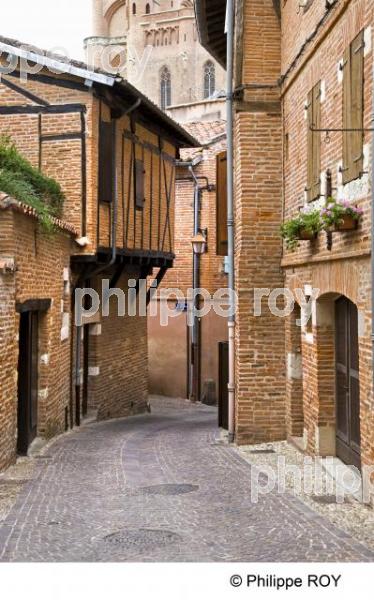 81F01935.jpg